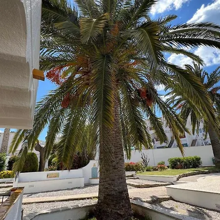 Piso Planta Baja Salida Piscina Av-03 * روساس